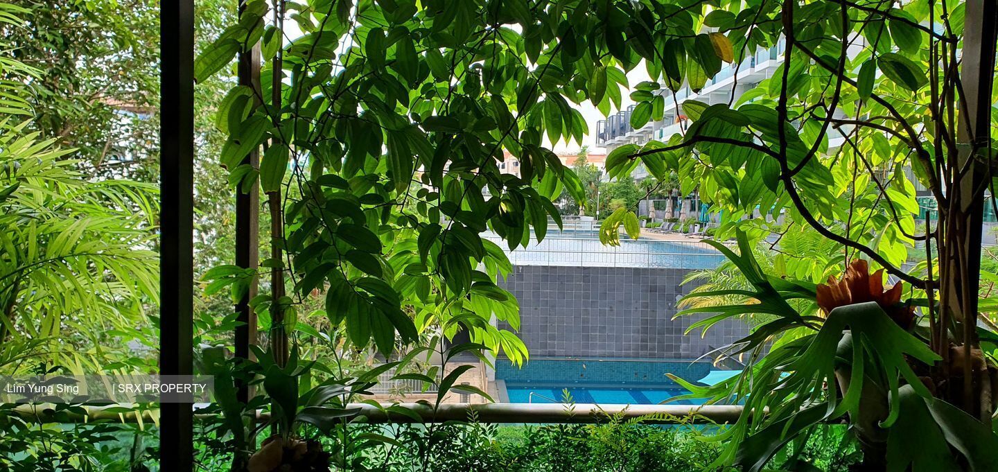 Shelford Suites (D11), Condominium #375127371